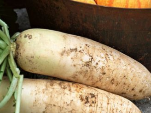 ����ҩʱ����ʳ�ﲻ�ܳ�