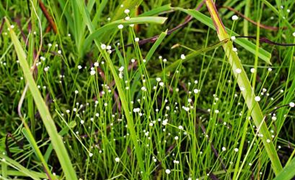 �Ⱦ��ݵĹ�Ч����Щ