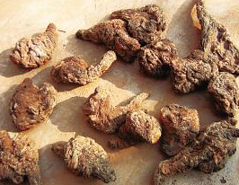 ��ػƵ����ι���