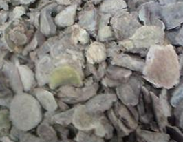 ���Ľ��Ĺ�Ч������