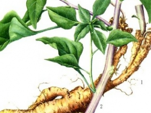 ��ɽ�εĹ�Ч����������Щ