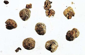 �����ӵĹ�Ч������