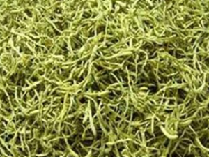 ����ҩ�Ÿ�������֢״