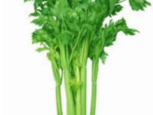 ���۵Ĺ�Ч������