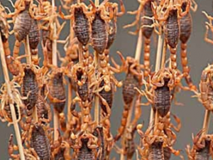 ��ð�ڼ��ʳ��Щʳ��