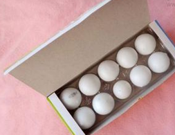 ��ҩ������������