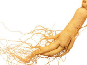 �˲β����벹��ҩ��ͬʳ��