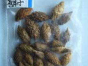 ��ɢ�纮ҩ�Զ���