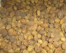 �½��в�ҩ����κʵ