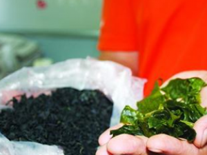 ������Ĺ�Ч������