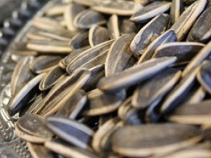 Ů����˳Եİ˴�ʳ��