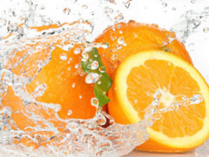 ��Щʳ������ٳԶ���������