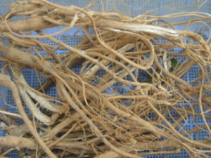 ��β�ָ��Ĺ�Ч������