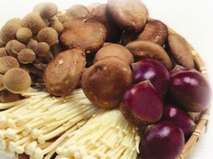 ���ӹ���Ӫ����ֵ