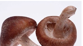 ���鹽��Ӫ����ֵ