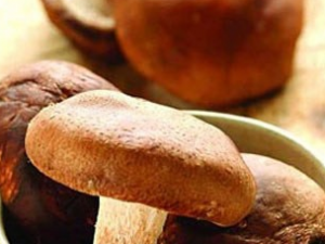 ���㹽��Ӫ����ֵ