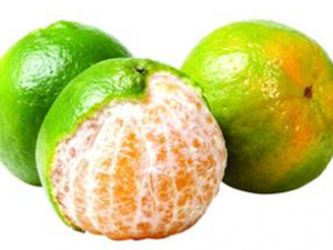 ��Ƥ��̵ֹ�����ֳԷ�