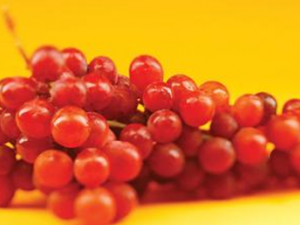 θ�����θ����໼�߲���ʳ��