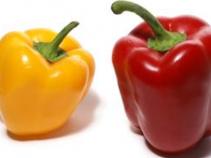 ��������ʮ��ô�