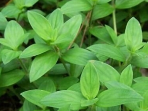 ���ݵĹ�Ч������