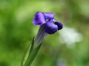 �׻�����