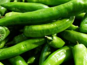 ������Ů�Եġ���Ʒ��