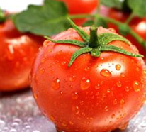 ����ʳ��δ����ķ���