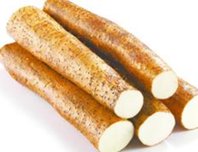 ɽҩ��ҩ�ü�ֵ