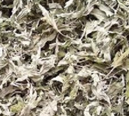 ����������������������������