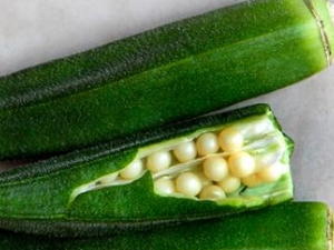 �������ʲô��Ч