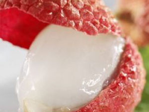 ������֦�����Ϻȵ���ˮ�ܽ���