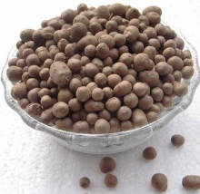 ����ҩ���θβ�