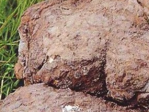 �����ߵĹ�Ч������