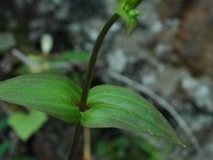 ��ֱ����˵Ĺ�Ч������