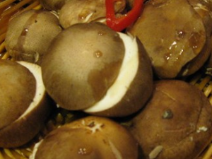 �����Ĺ�Ч������