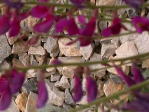 �컨�һ��εĹ�Ч������