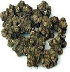 ����Ů����