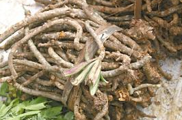 ��ӹǲݵĹ�Ч������