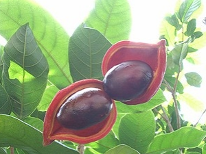 ���۹���Ƥ�Ĺ�Ч������