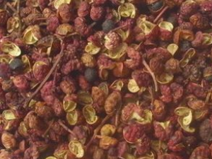 13�������γ���С����ʳ������ƫ��