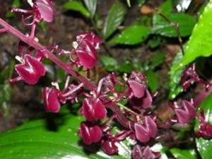 ��ʯͷ�Ĺ�Ч������