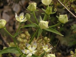 ���ݵĹ�Ч������