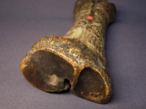 ���ǵĹ�Ч������