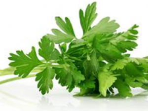 �۲˵�ҩ�ü�ֵ