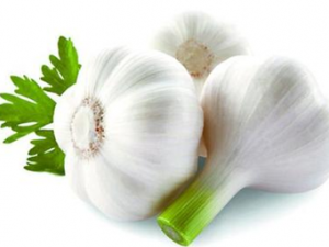 ����ı�����Ч