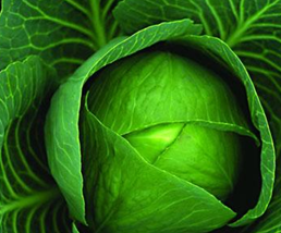 ���Ĳ˵�Ӫ����ֵ