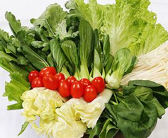 �ײ˼�ͥҩ��ʳ�Ʒ�