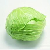 ���Ĳ˼�ͥʳ�Ʒ���