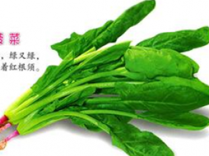 ����ʳ�Ʒ���ѡ