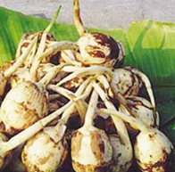 �ȹ���ͥҩ��ʳ�Ʒ�